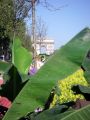 2010 05 24 jeanmarcperfetti.com 068.JPG